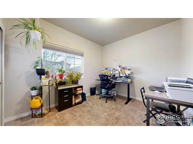 a living room filled with furniture and a potted plant