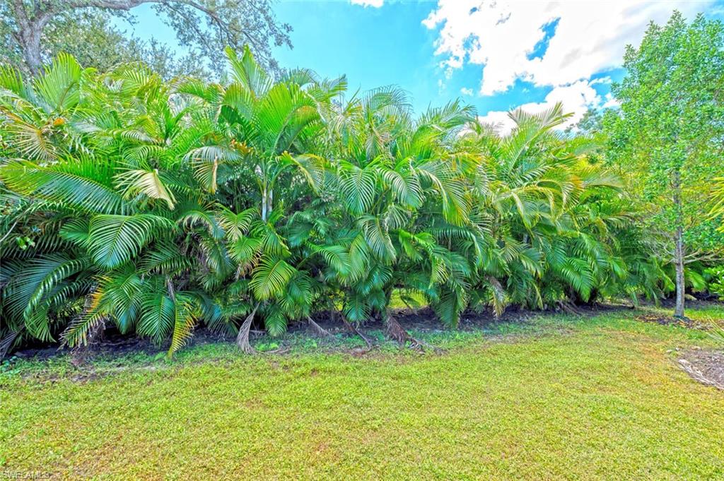 388 Grace Bay Lane Naples, FL 34114 - Photo 22 of 39 View of grassy yard