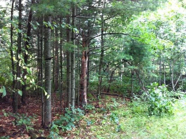Lot 1 Fairway Drive Rhinelander, WI 54501 - Photo 1 of 5 Gallery Image 1
