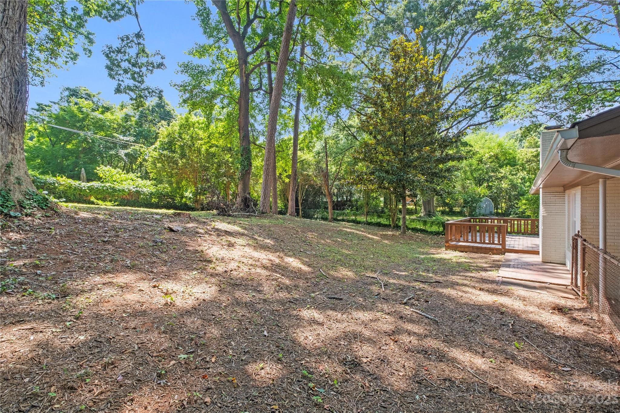 3522 Enfield Road Charlotte, NC 28205 - Photo 28 of 32 a view of a yard with plants and large trees