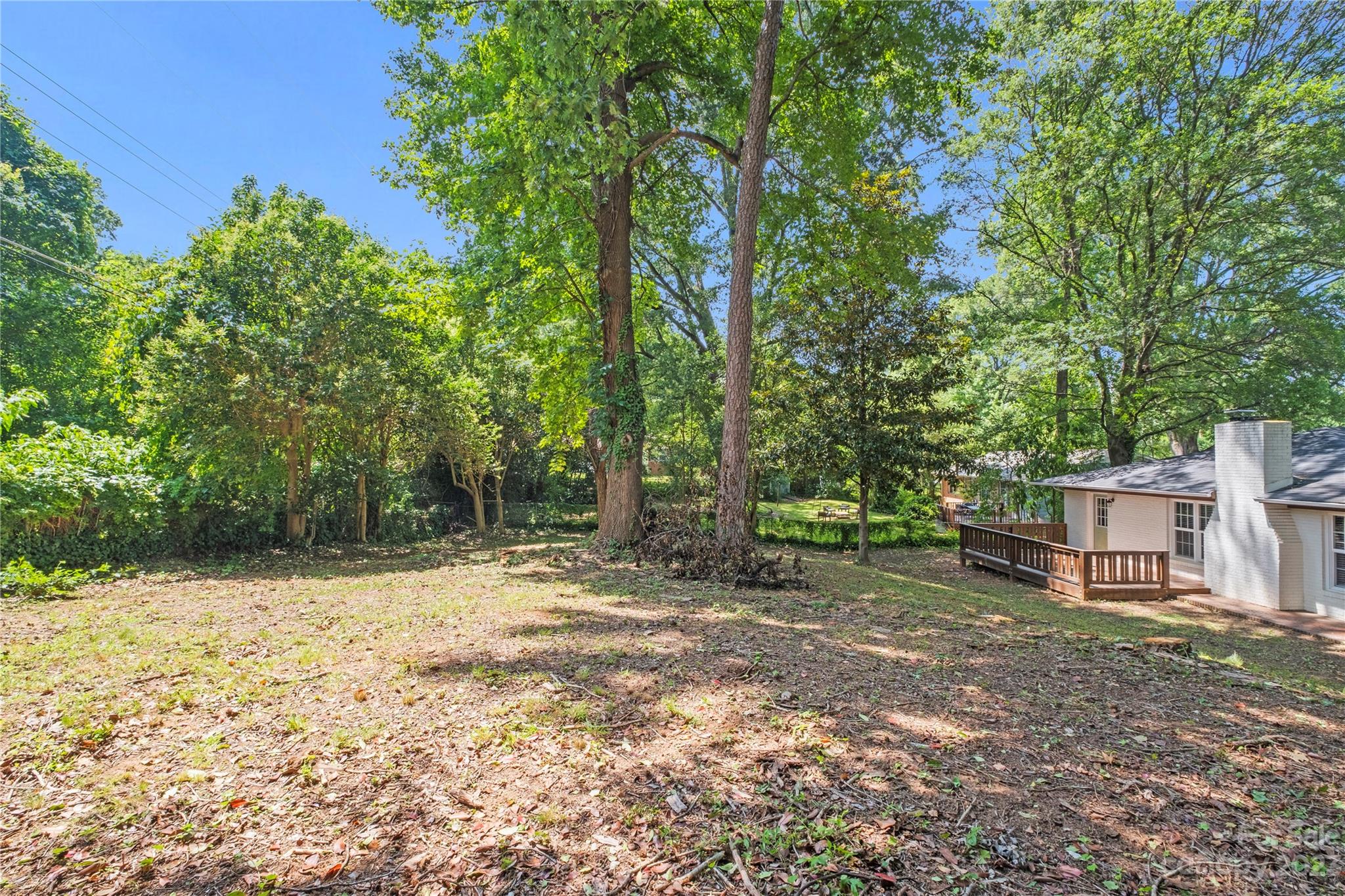 3522 Enfield Road Charlotte, NC 28205 - Photo 29 of 32 a view of a backyard with large trees