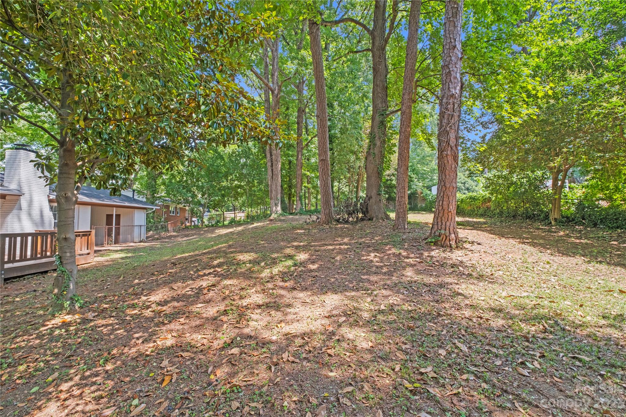 3522 Enfield Road Charlotte, NC 28205 - Photo 30 of 32 a view of a tree in the middle of a yard
