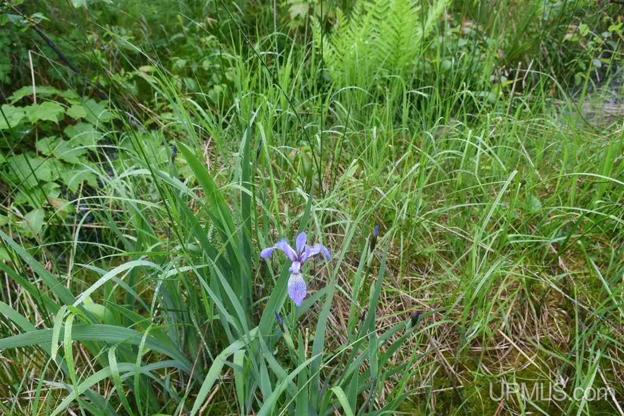 Tbd Mud Lake Road Lake Linden, MI 49945 - Photo 26 of 28