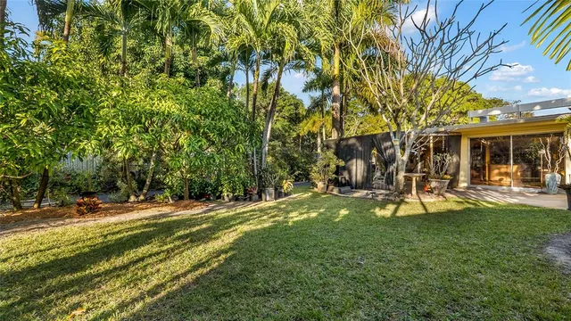 a view of backyard with plants