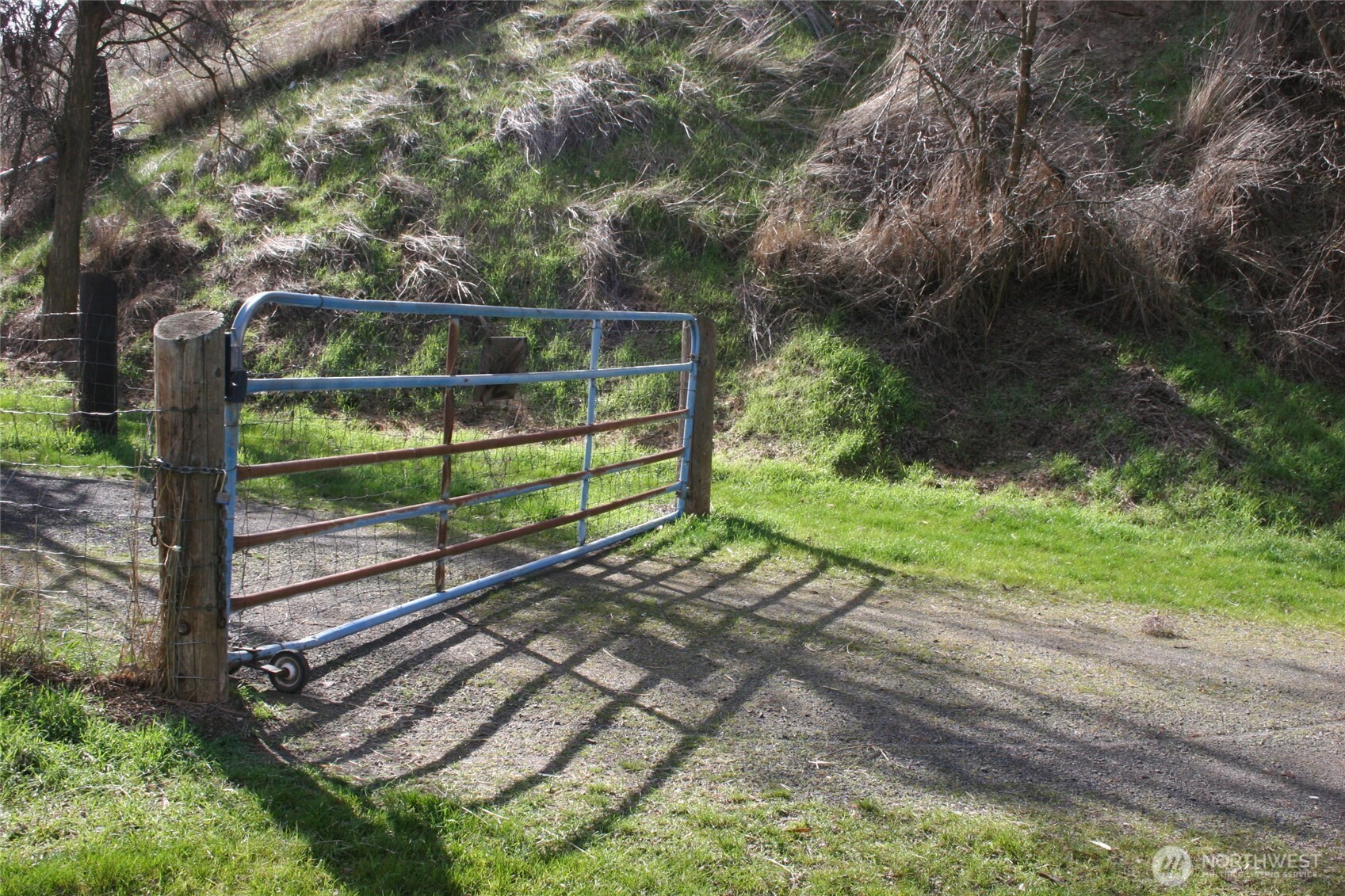 1411 Kellogg Hollow Road Dayton, WA 99328 - Photo 20 of 26