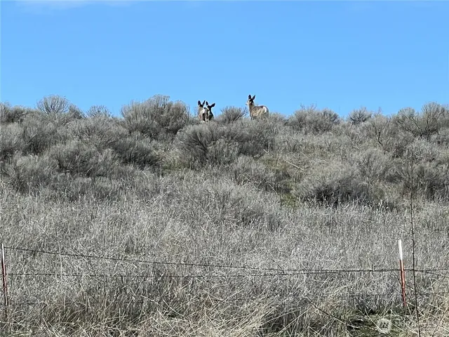 a view of an ocean beach