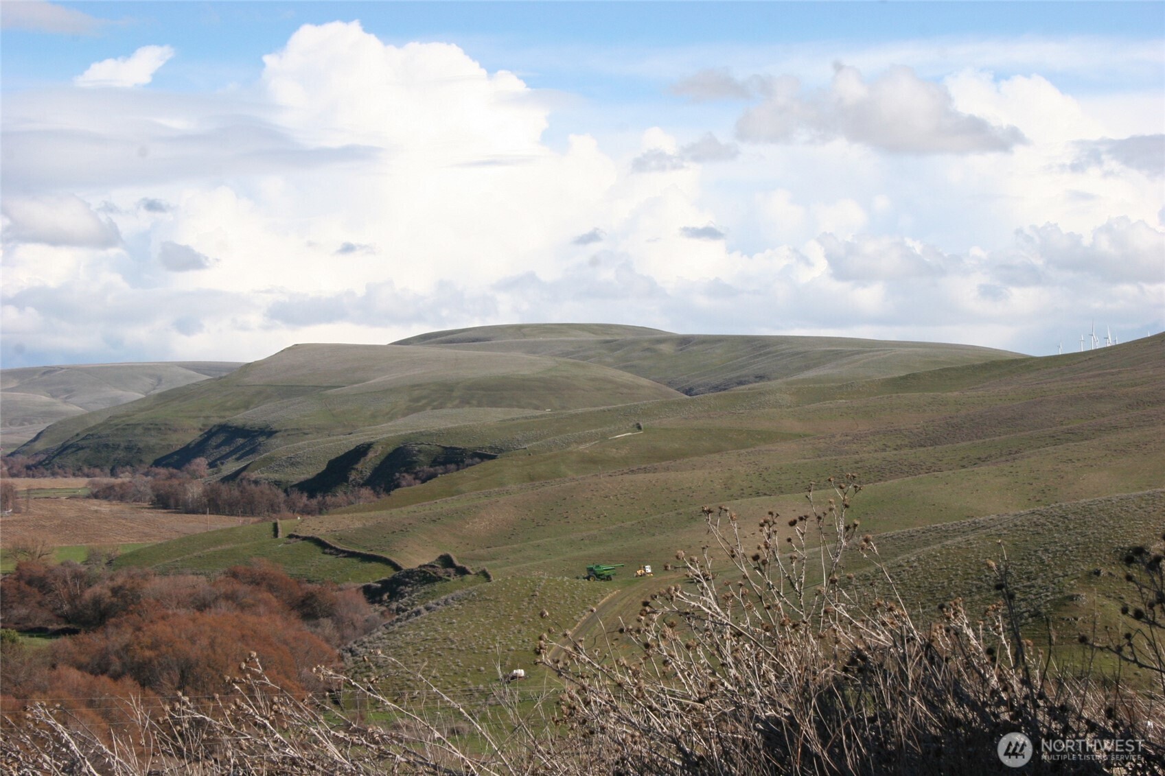 1411 Kellogg Hollow Road Dayton, WA 99328 - Photo 24 of 26