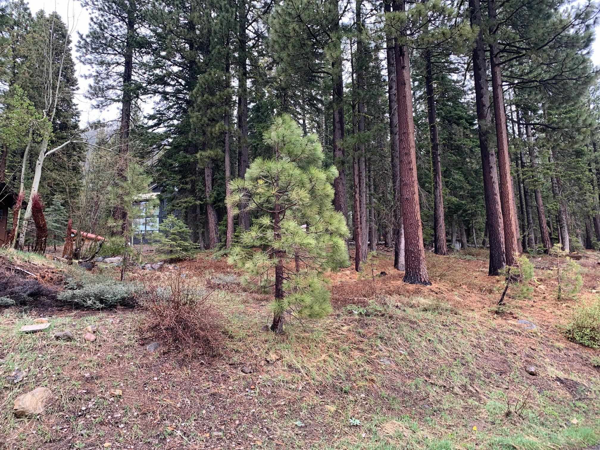 4038 Courchevel Road Homewood, CA 96141 - Photo 2 of 9