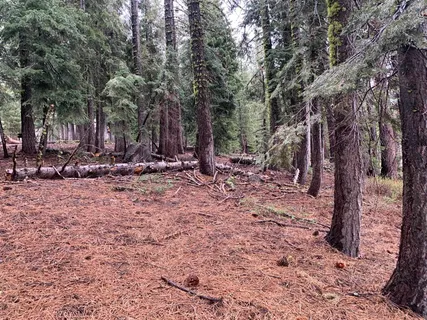a backyard of a house with lots of green space
