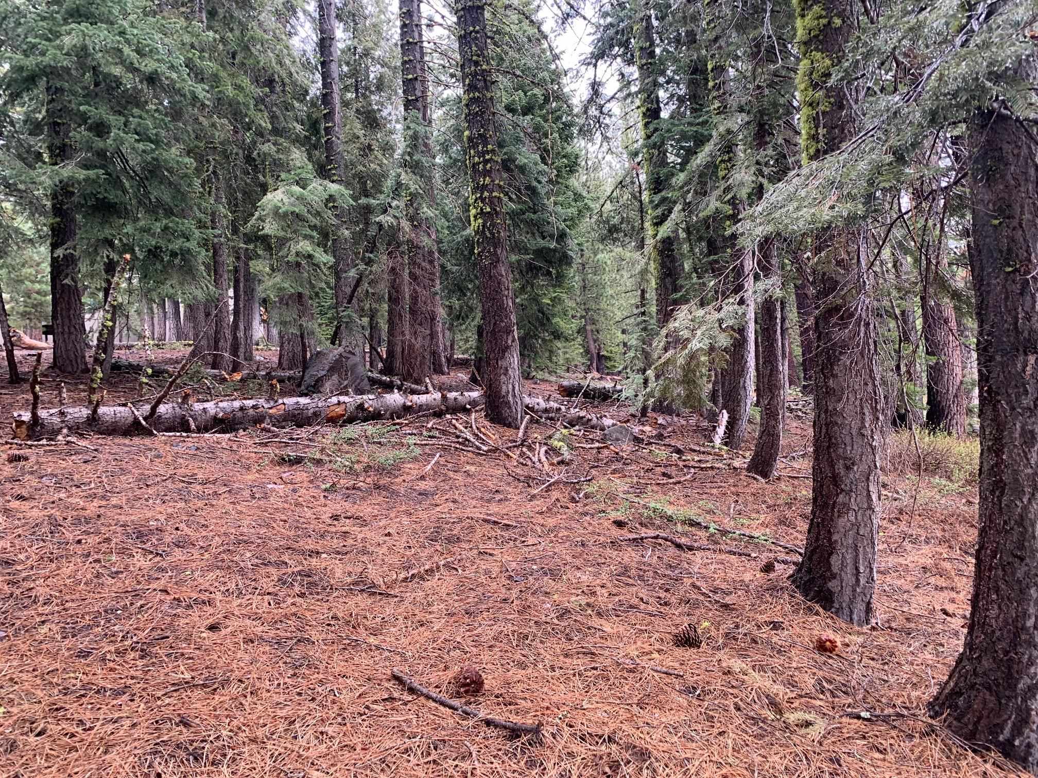 4038 Courchevel Road Homewood, CA 96141 - Photo 7 of 9