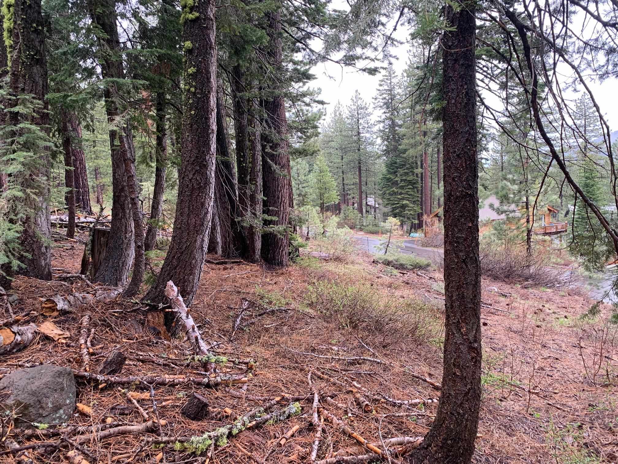 4038 Courchevel Road Homewood, CA 96141 - Photo 9 of 9