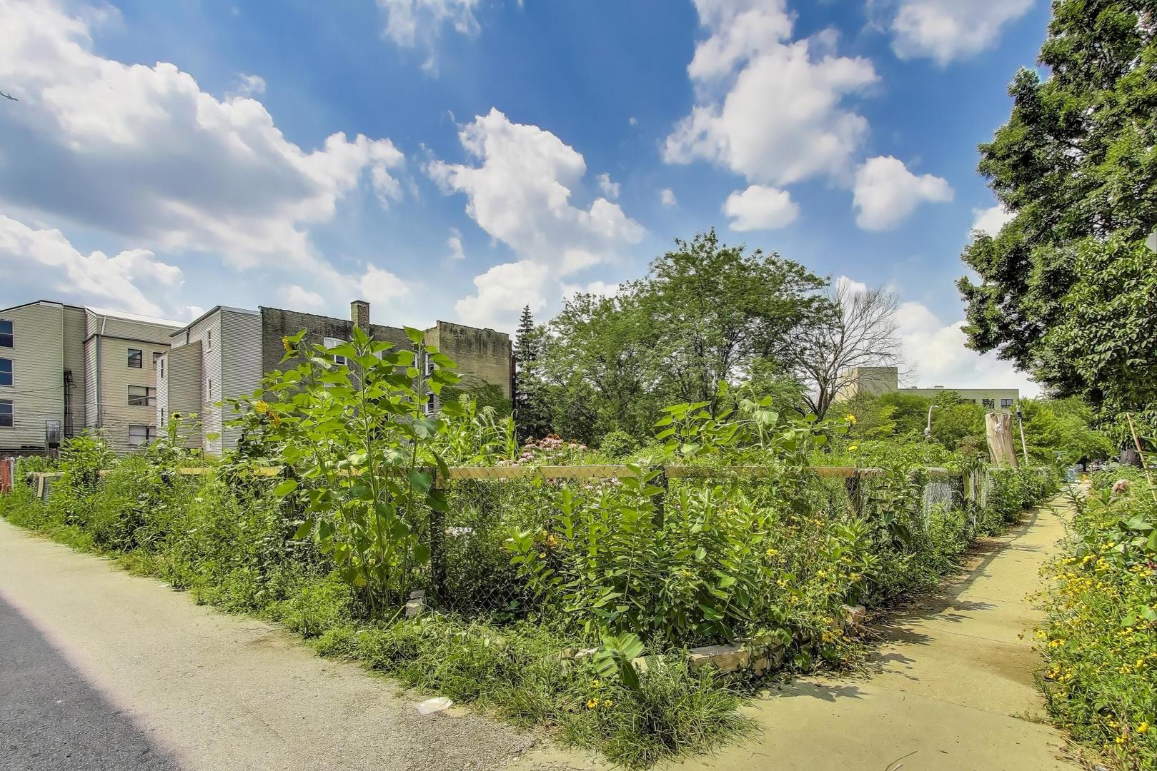 7730 North Paulina Street, Unit 1 Chicago, IL 60626 - Photo 54 of 59 a view of a bunch of flowers in back yard