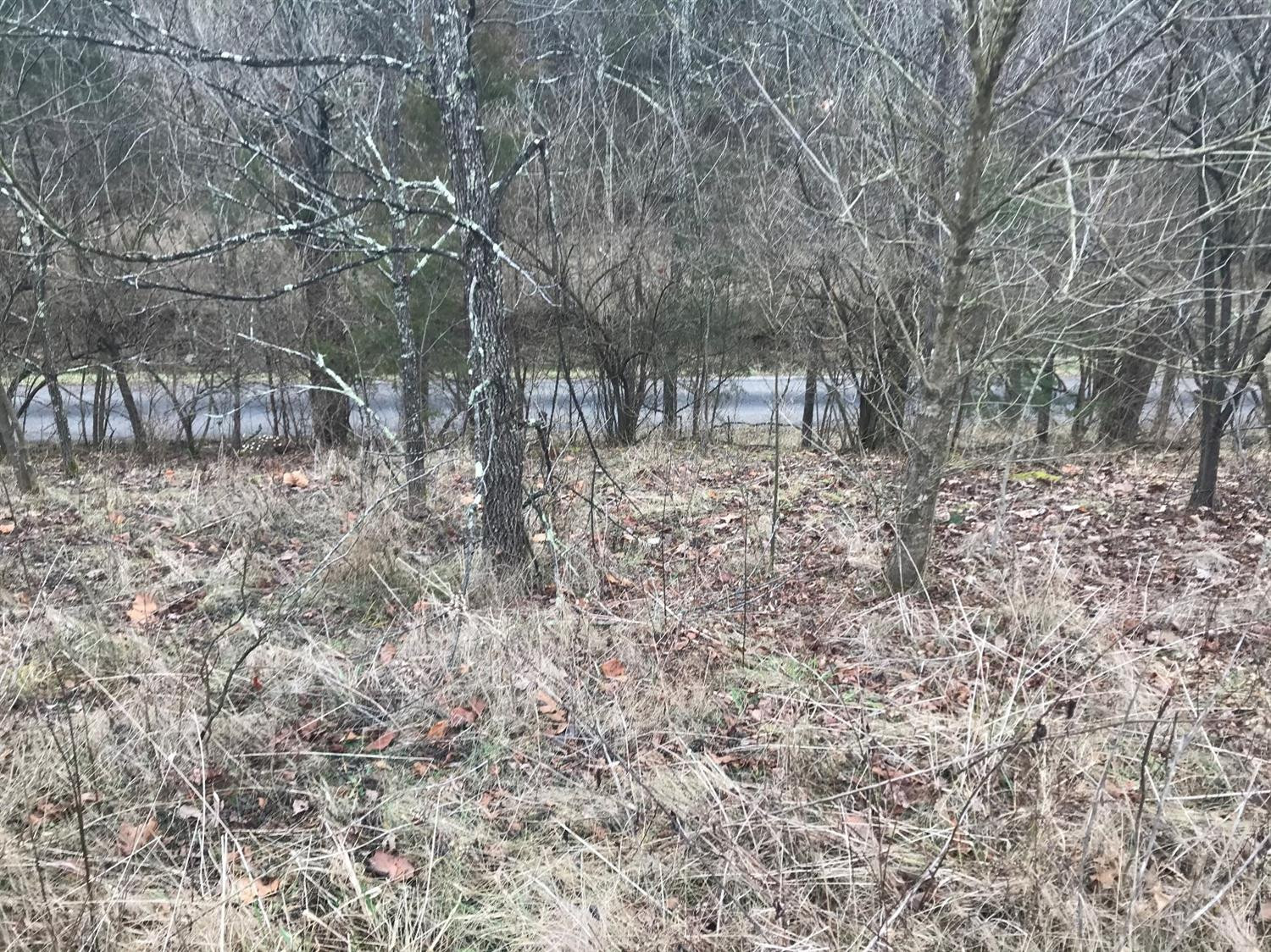 0 Shawhan Road Berry, KY 41003 - Photo 2 of 7 Photo 2