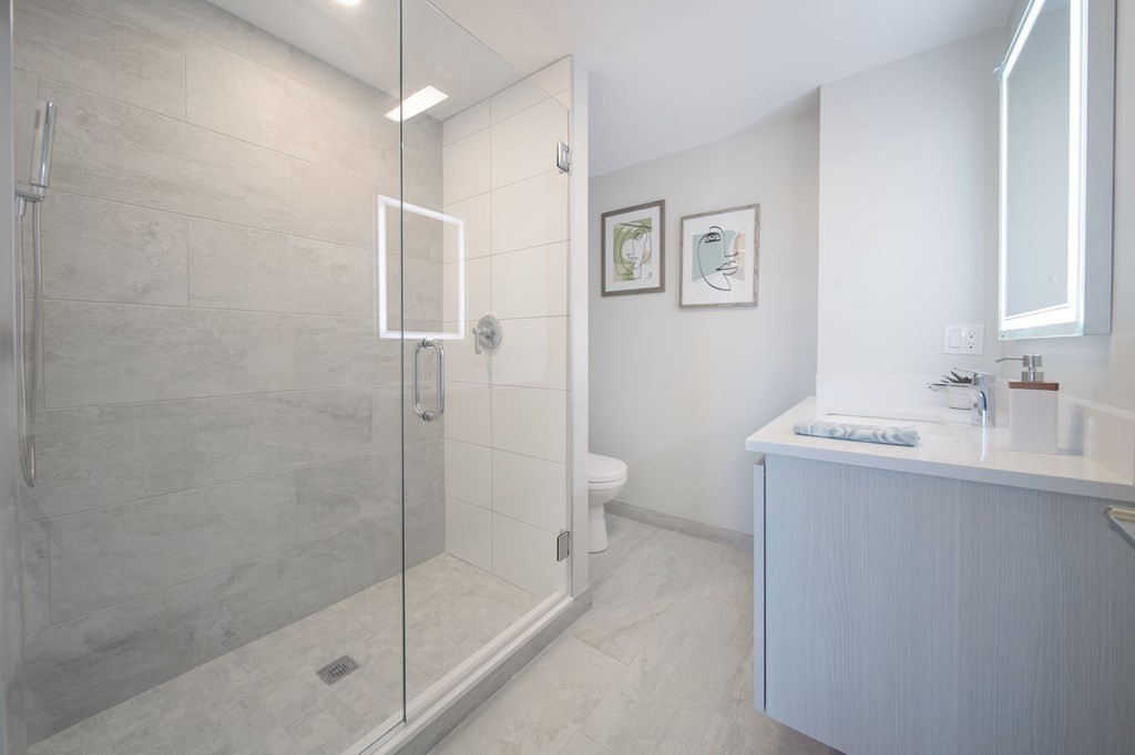 932 Broadway, Unit 212 Chelsea, MA 02150 - Photo 17 of 35 a bathroom with a shower sink and mirror