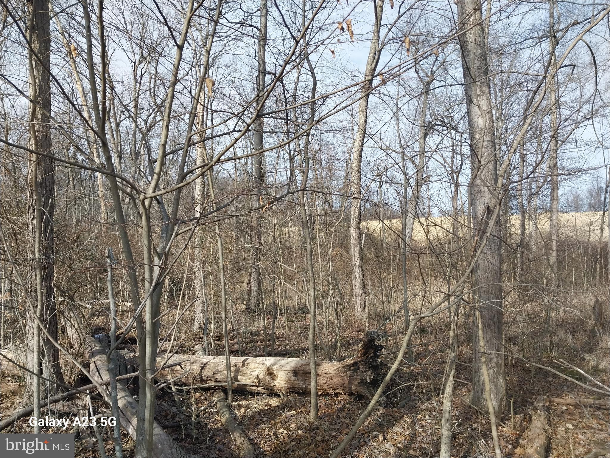 8065 Bull Road Lewisberry, PA 17339 - Photo 19 of 21 a backyard of a house with lots of green space