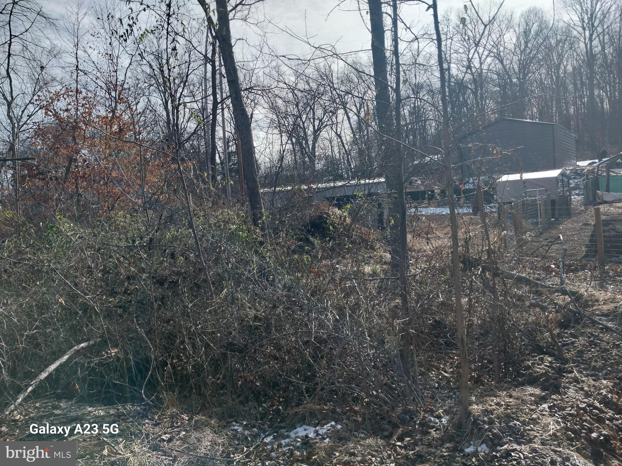 8065 Bull Road Lewisberry, PA 17339 - Photo 21 of 21 a view of forest