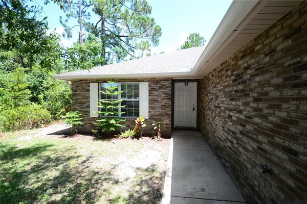 a view of a garden with a plants