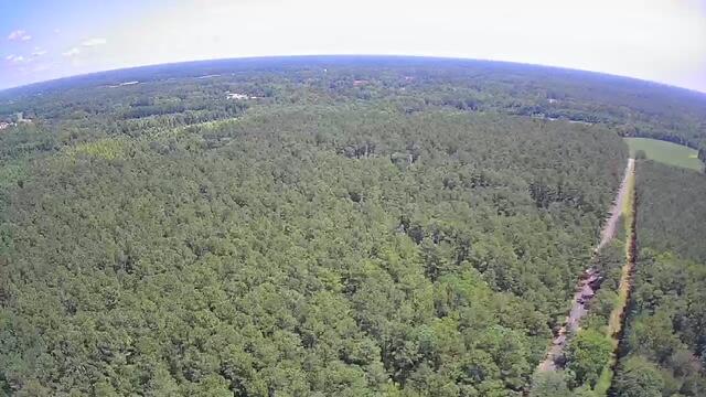 0 Nursery Road Reevesville, SC 29471 - Photo 6 of 11