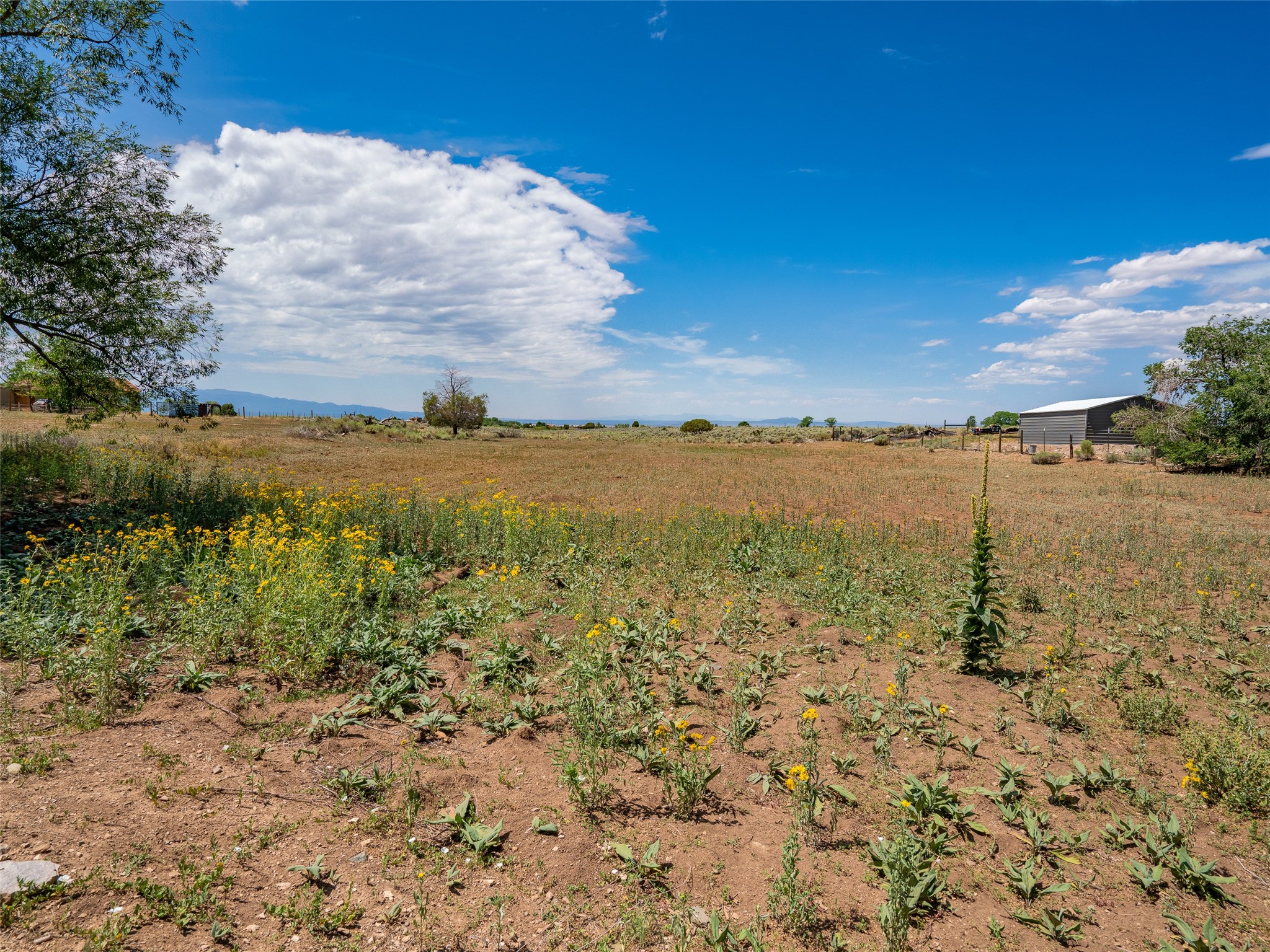 Tbd Shana Madre Road El Prado, NM 87529 - Photo 25 of 30