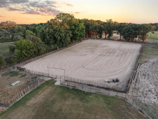 a view of a dry yard with large trees