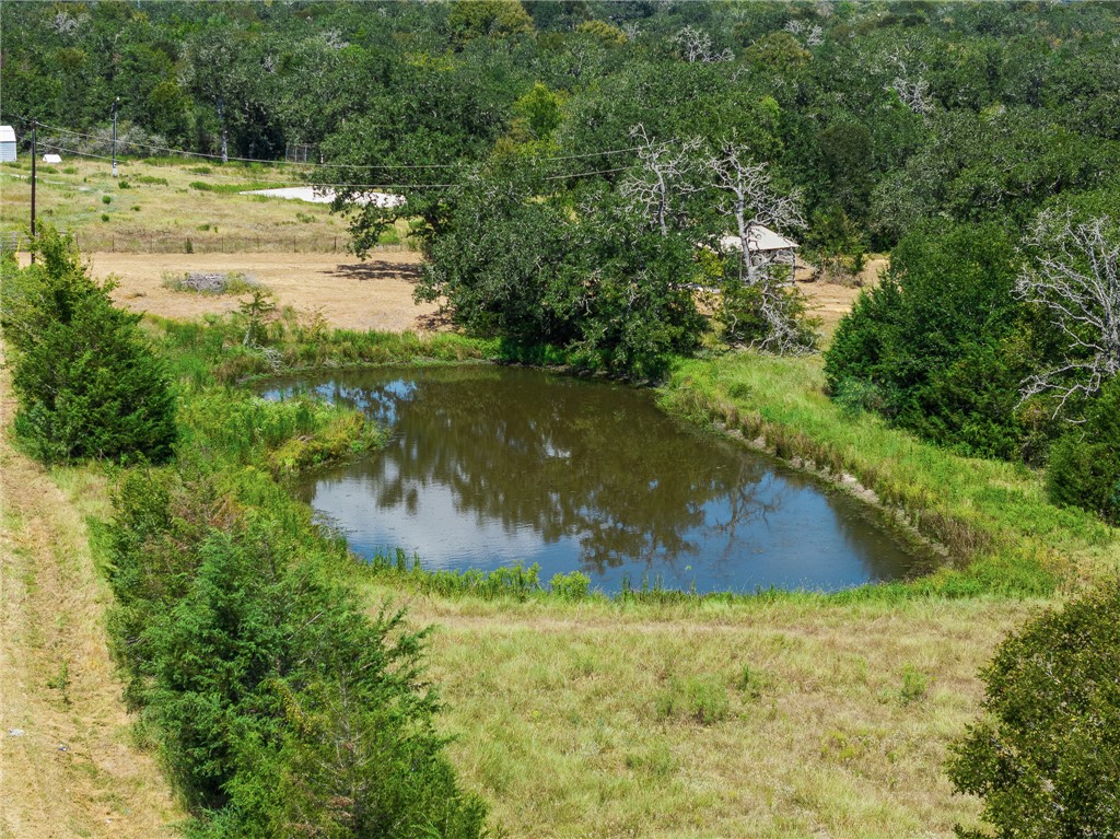 789 Quail Hollow Road Caldwell, TX 77836 - Photo 18 of 27 a view of a lake view