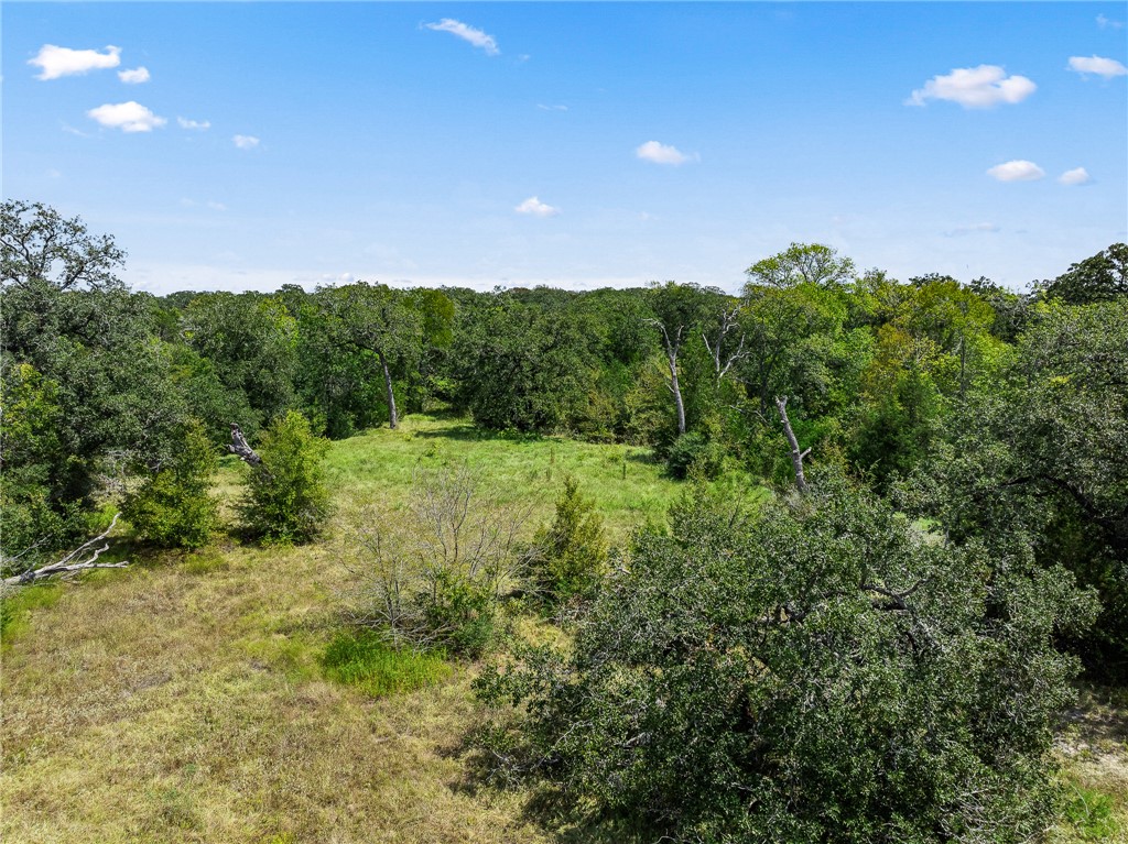 789 Quail Hollow Road Caldwell, TX 77836 - Photo 21 of 27 a view of a lush green space with sea