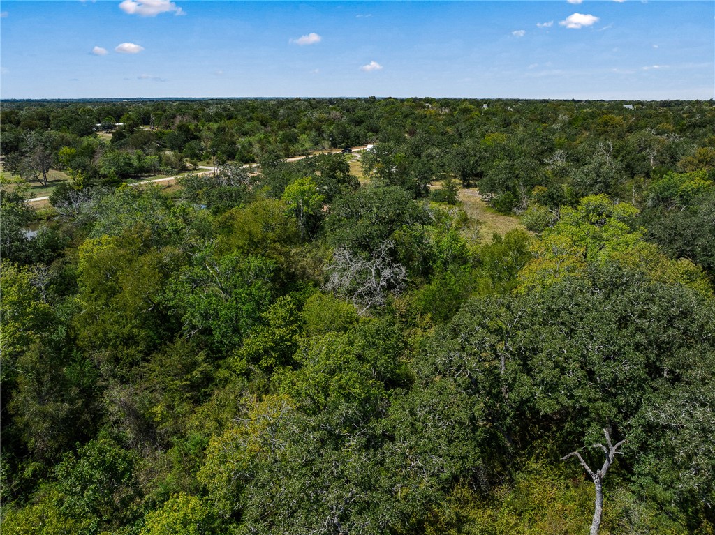 789 Quail Hollow Road Caldwell, TX 77836 - Photo 23 of 27 a view of a yard with an outdoor space