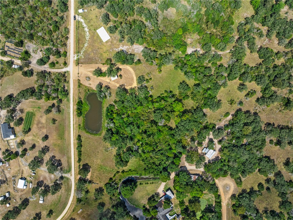 789 Quail Hollow Road Caldwell, TX 77836 - Photo 9 of 27 a view of a plant in a garden