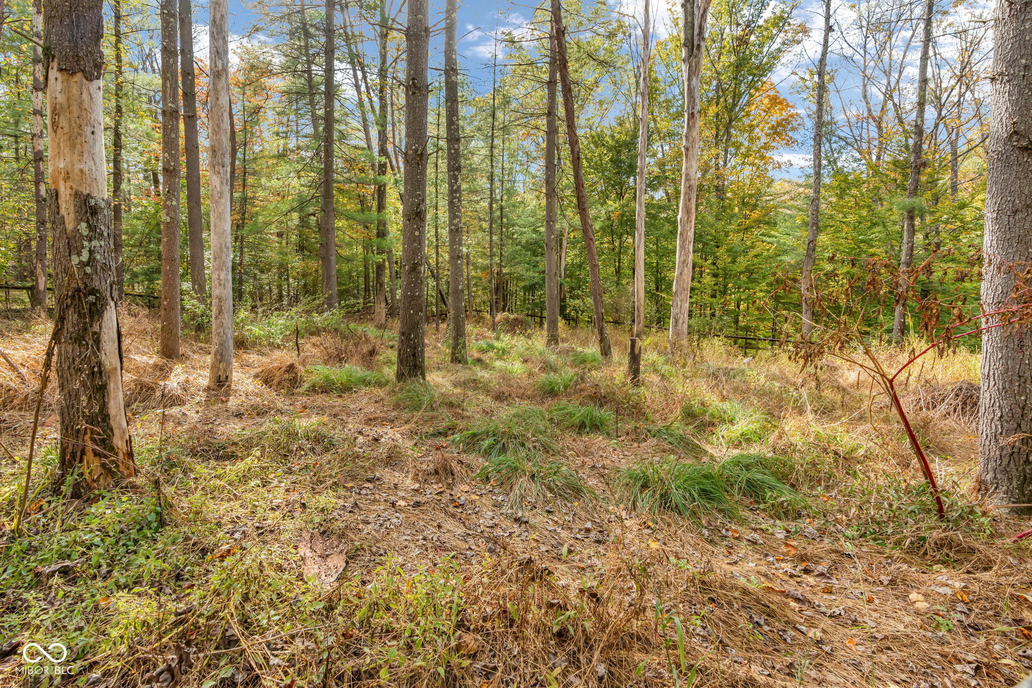 3740 Smith Road Nashville, IN 47448 - Photo 67 of 95