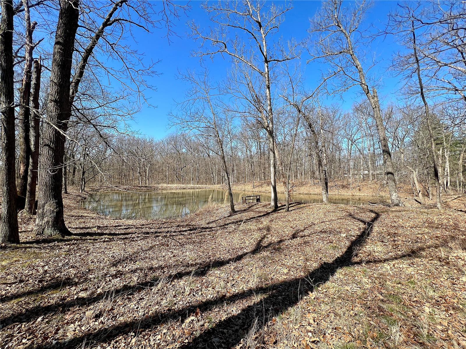 7807 Brickyard Hill Road Worden, IL 62097 - Photo 15 of 16