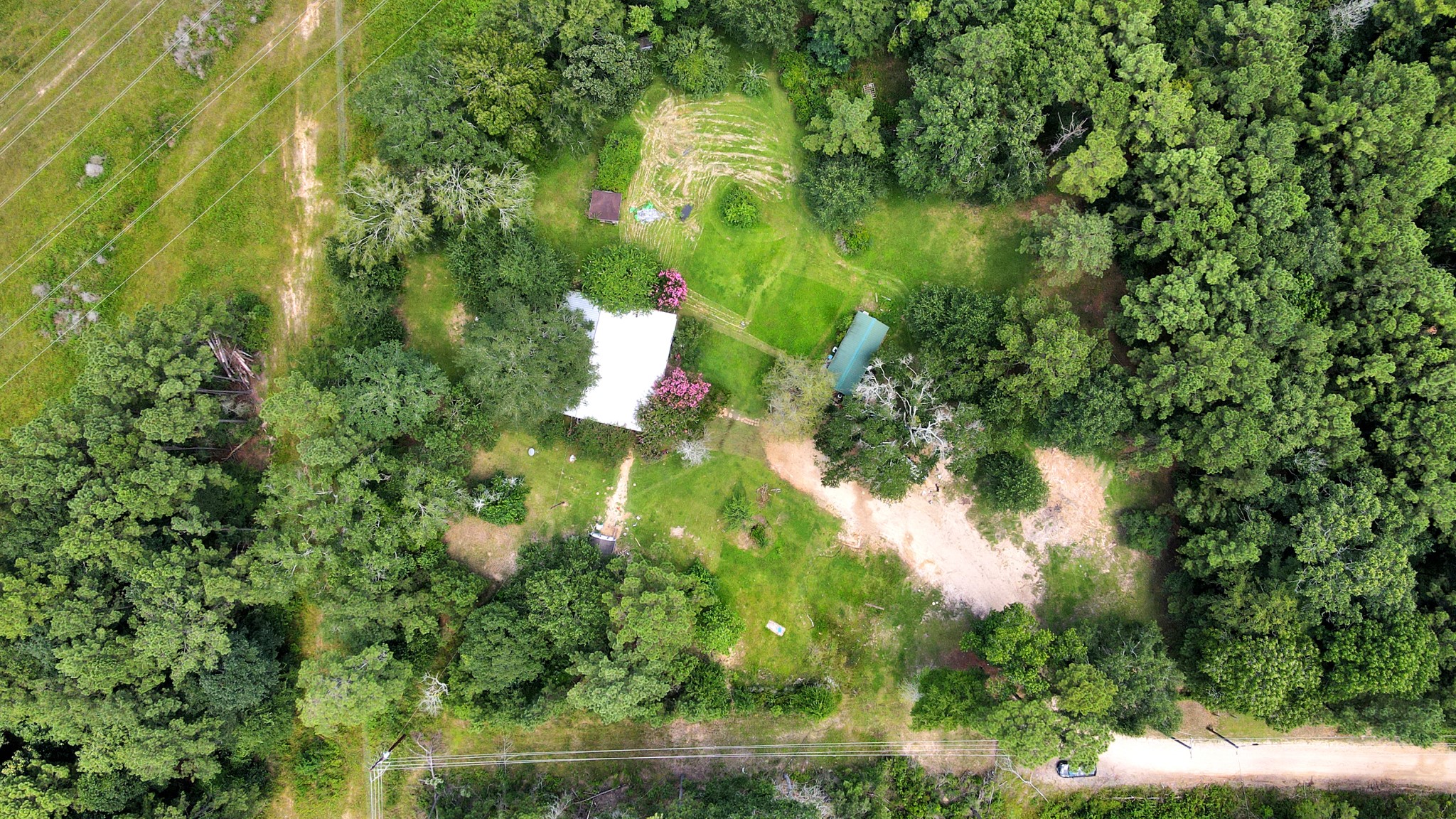 101 Rocky Road Livingston, TX 77351 - Photo 2 of 42 a view of a yard