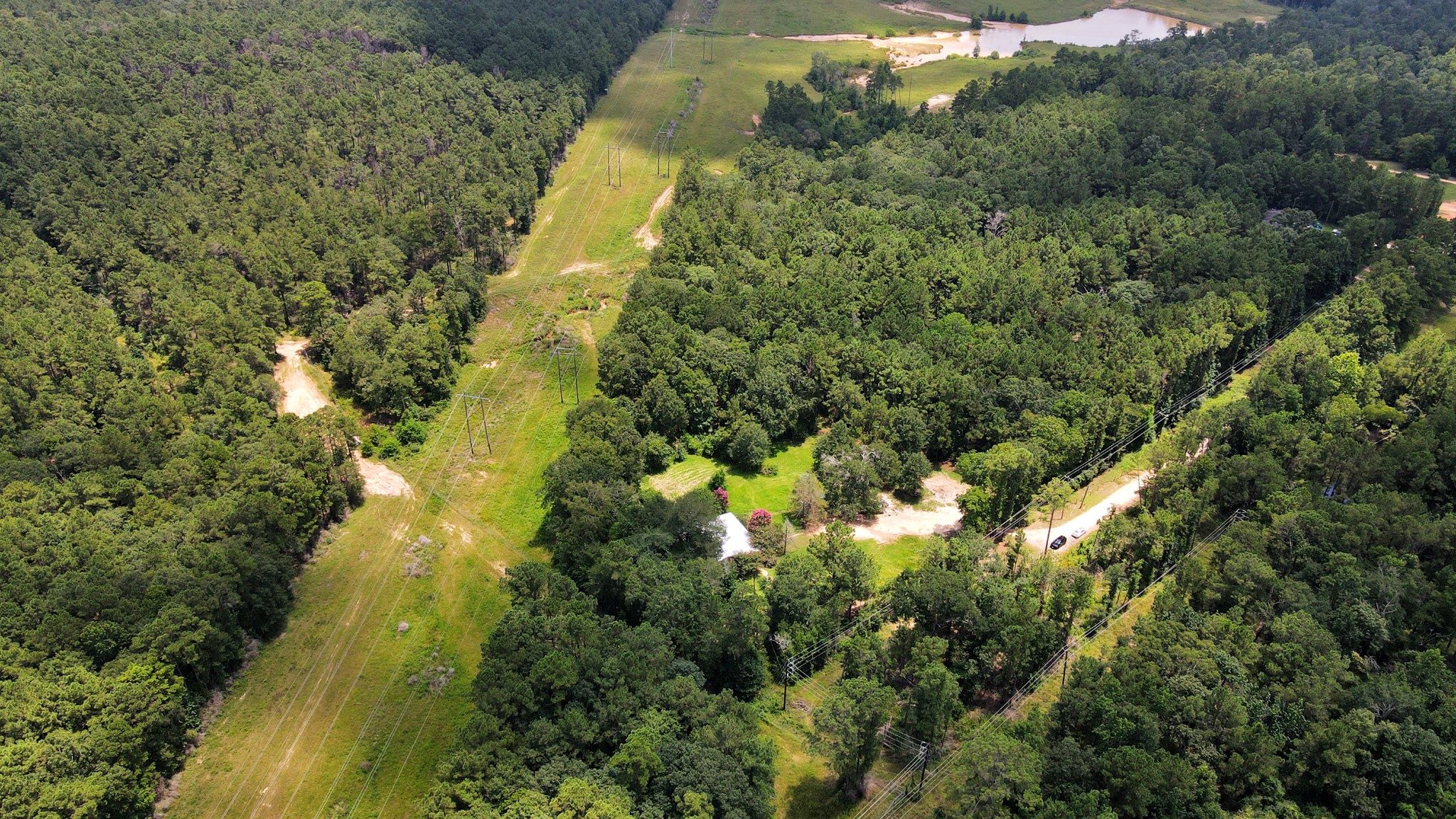 101 Rocky Road Livingston, TX 77351 - Photo 3 of 42 a view of a forest