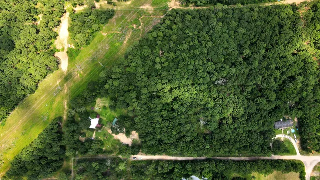 a view of a yard with plants