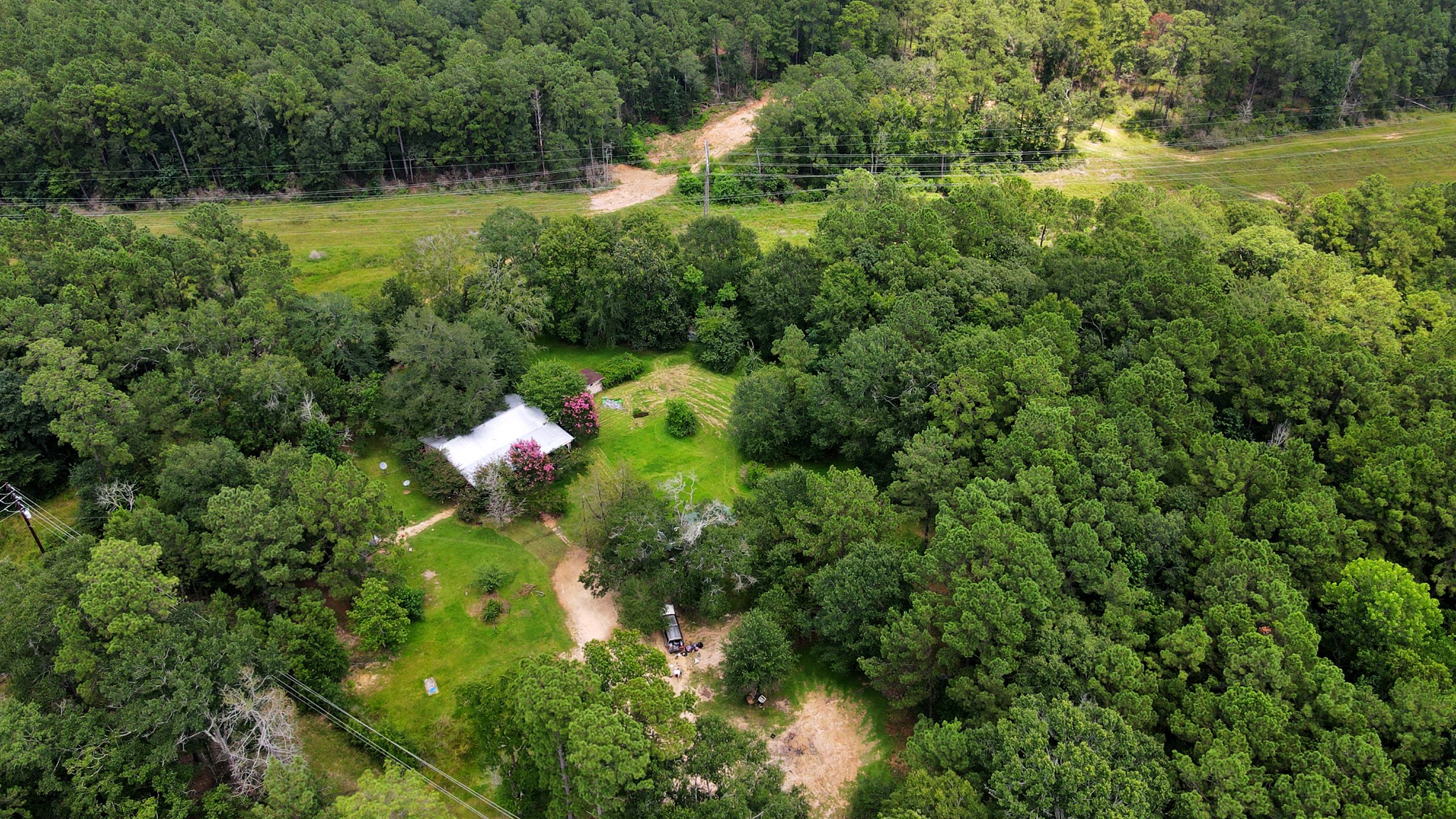 101 Rocky Road Livingston, TX 77351 - Photo 4 of 42 a backyard of a house with lots of green space and trees