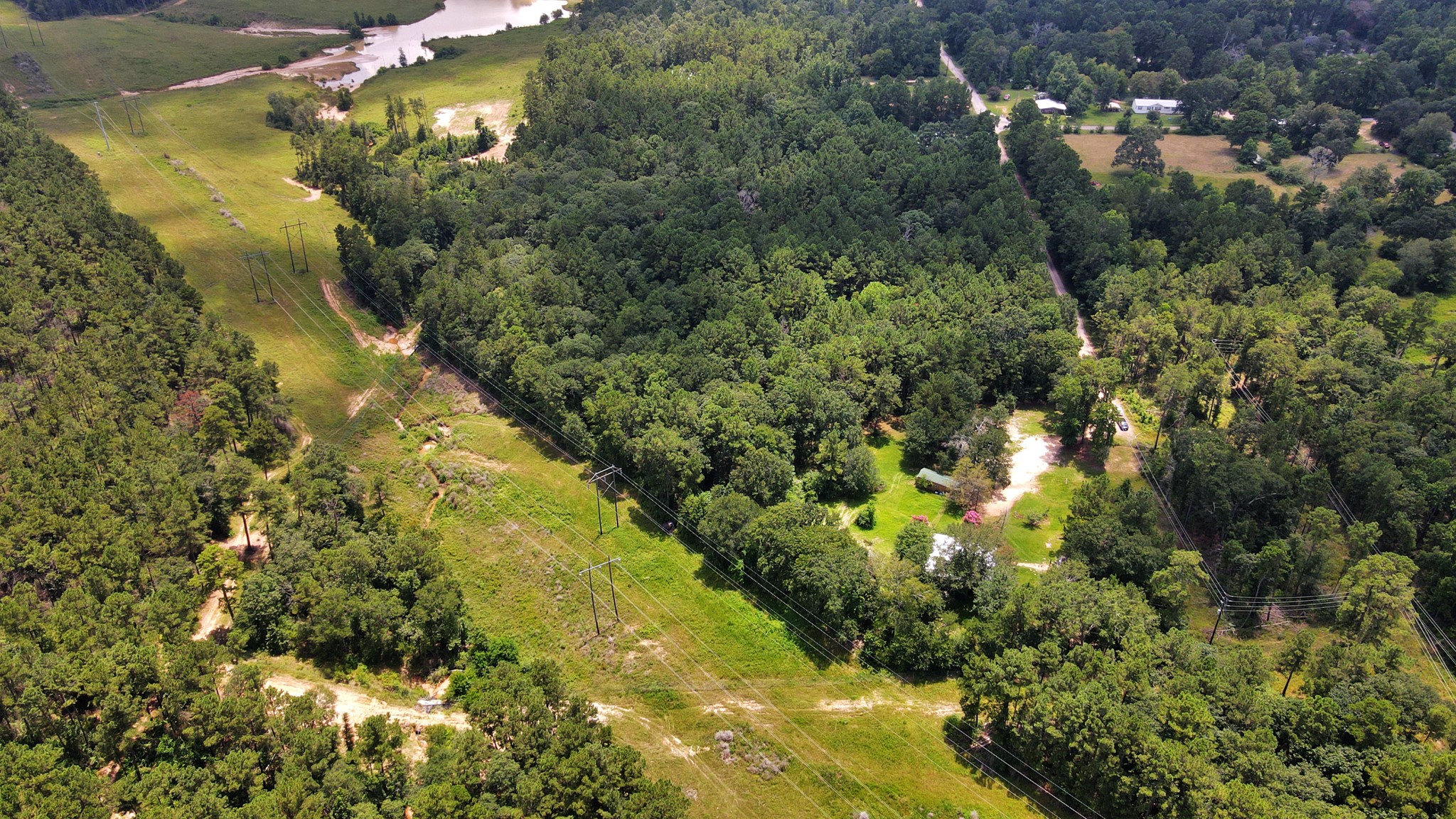 101 Rocky Road Livingston, TX 77351 - Photo 6 of 42 a view of a forest
