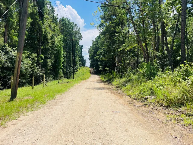 a view of a yard with plants and a trees