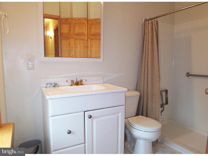 917 Ashbourne Road Cheltenham, PA 19012 - Photo 20 of 25 Bathroom