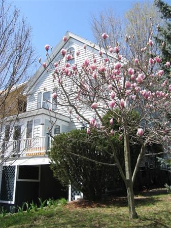 23 Cummings Road Newton, MA 02459 - Photo 22 of 25 Gallery Image 22