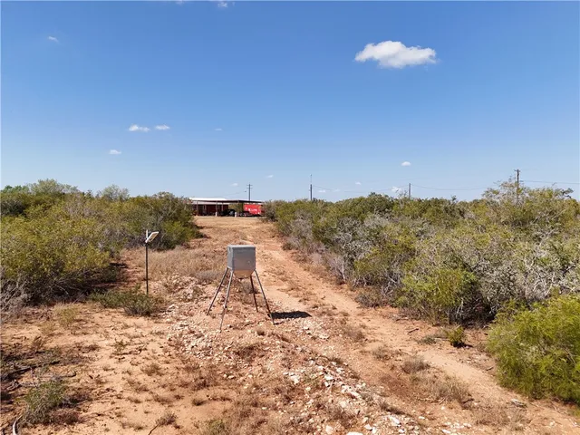 a view of a dry yard with trees