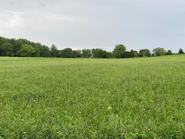 670 Todd Road Eubank, KY 42567 - Photo 41 of 44 IMG_2847