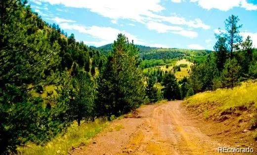a view of a dry yard with wooden fence