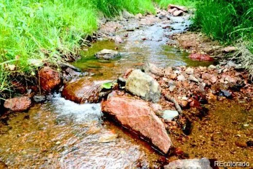 a view of a dry field with mountains in the background