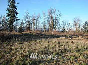 6228 139th Lane Southwest Rochester, WA 98579 - Photo 1 of 1