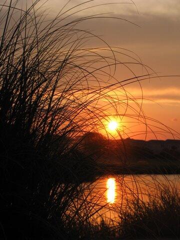 72 Rice Lane Edisto Island, SC 29438 - Photo 50 of 51 Sunset over golf course
