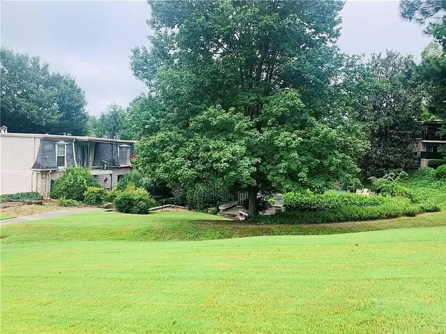 a view of a backyard with plants and palm trees