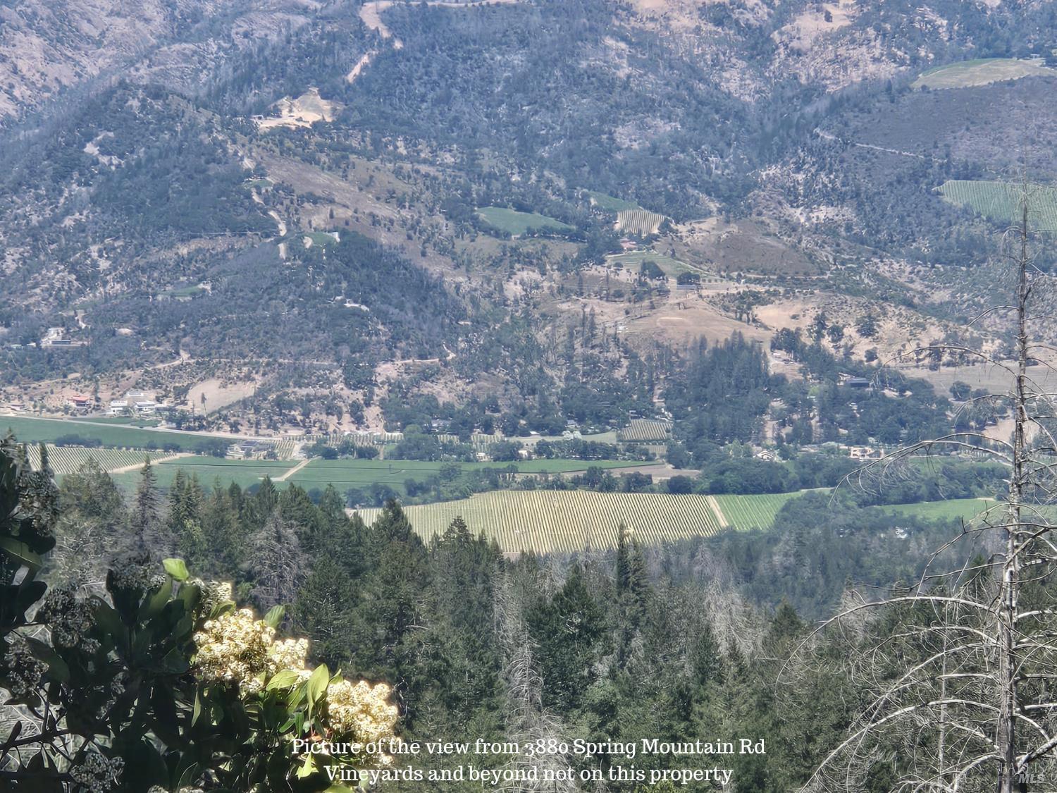 3880 Spring Mountain Road St. Helena, CA 94574 - Photo 2 of 57