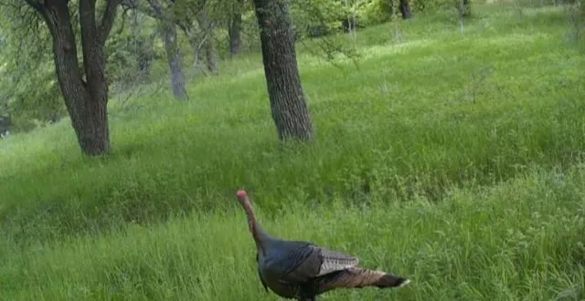 $839,900 | 771 Hcr 2233, West, TX 76691