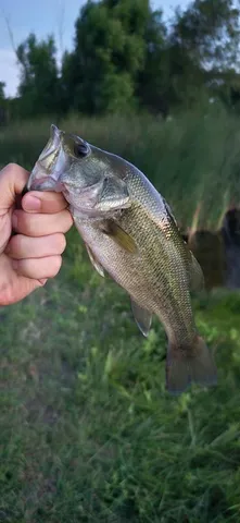 $839,900 | 771 Hcr 2233, West, TX 76691