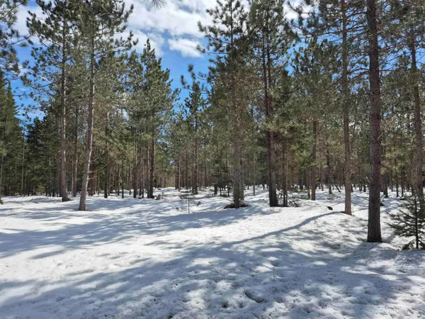 $40,000 | 20-acres Off Flodin Road, Manistique, MI 49854