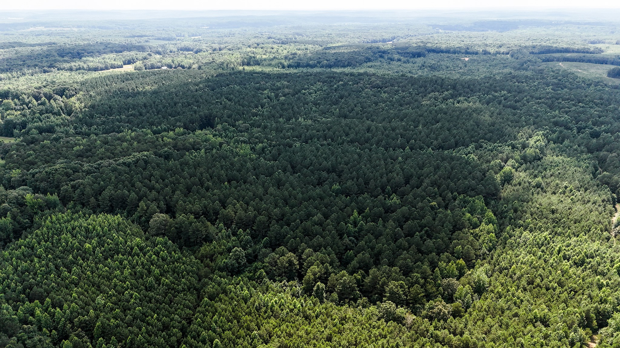 0 Guys Chewalla Road Ramer, TN 38367 - Photo 13 of 26 an aerial view of residential houses with outdoor space and trees